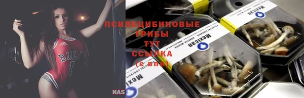 тгк Абинск